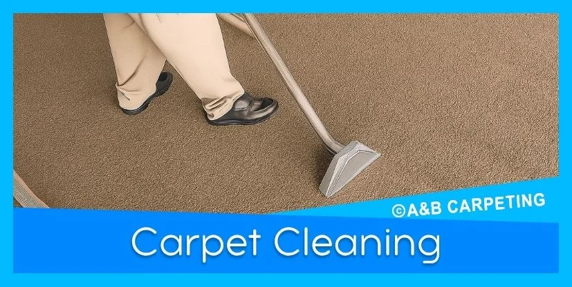 Professional Carpet Cleaning